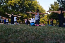 公园练瑜伽图片下载