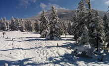 冬天高山雪地风景高清图片