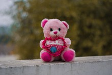 粉色泰迪熊玩具高清图