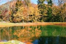 秋天树木湖泊景观图片大全