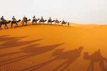 沙漠骆驼队伍摄影精美图片