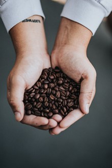 双手捧咖啡豆摄影图高清图