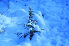 冬天积雪景观图片下载