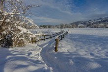寒冬白色雪景图片下载