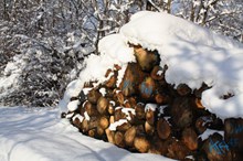 冬天雪地木柴堆图片素材