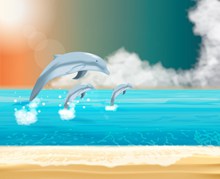 海洋海豚卡通高清图片