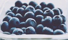 蓝莓摄影图片素材