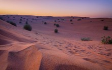 黄昏沙漠风景图片素材