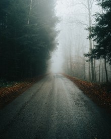 浓雾公路风景高清图片