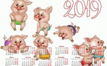 2019猪年拜年日历图片素材