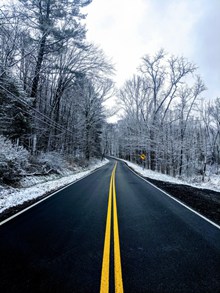 树林公路雪景高清图片