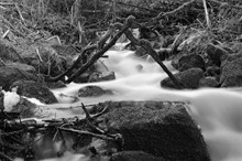深山瀑布流水黑白高清图片
