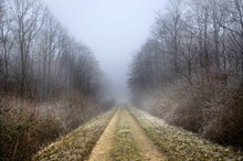 冬季森林山路景观图片素材