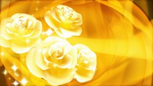 黄色玫瑰背景图片素材