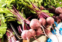 紫色萝卜蔬菜图片素材