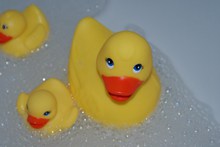 小黄鸭塑料玩具精美图片
