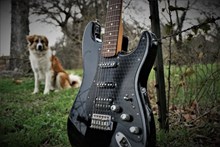 黑色复古电吉他精美图片