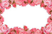 粉色玫瑰花框素材图片
