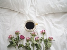 咖啡玫瑰图片素材