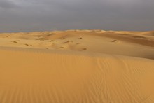 荒芜沙漠景观高清图