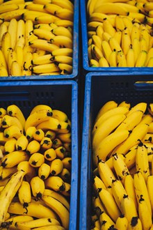 香蕉批发图片素材