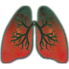 关注肺部健康卡通高清图片