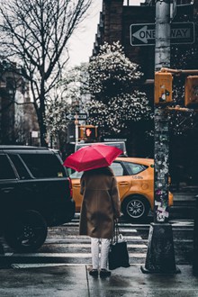 美女雨中撑伞背影高清图片