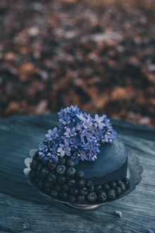 蓝莓水果鲜花蛋糕高清图片