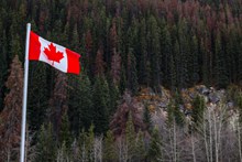 飘扬加拿大国旗图片素材