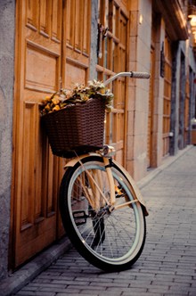 复古典雅女士自行车图片下载