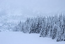 冬季白色积雪景观图片大全