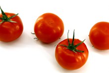 西红柿白色背景图片下载
