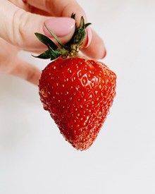 一颗新鲜红草莓图片大全