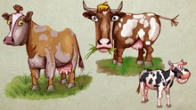 卡通奶牛背景图片下载