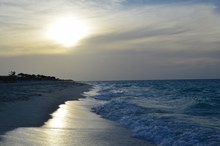 清晨海滩海浪图片大全