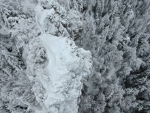 白雪森林冬季风景高清图片