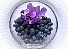 一碗蓝莓果图片素材