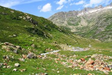 绿色瑞士山景观精美图片