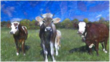 奶牛绘画精美图片