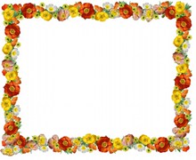 罂粟花边框精美图片
