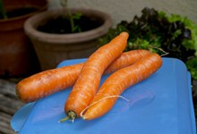 营养红萝卜蔬菜高清图