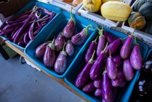 市场紫色茄子图片下载