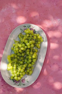 绿色葡萄高清 绿色葡萄高清大全图片素材
