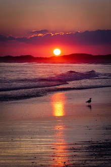 海边夕阳西下美景图片素材