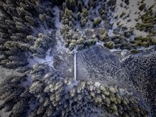 冬季松树林风景航拍图图片素材