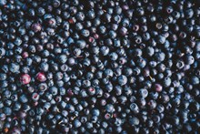 新鲜成熟蓝莓高清 新鲜成熟蓝莓高清大全高清图片