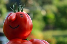 另类番茄蔬菜图片下载