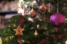 圣诞节装饰圣诞树高清图片
