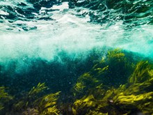 海底自然风光精美图片
