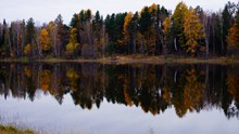 秋季湖泊树木风景精美图片